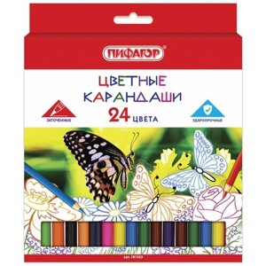 Пифагор Цветные карандаши Бабочки, 24 цвета (181353)