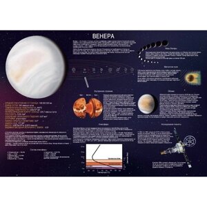 Венера развивающий (для обучения) плакат A1+глянцевая фотобумага от 200 г/м2