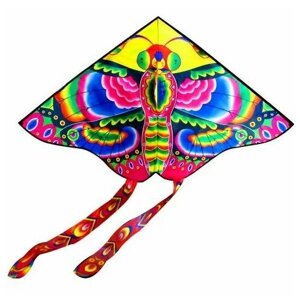 Воздушный змей "Бабочка" 170*150см в сумке