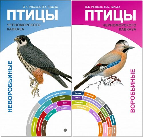 Птицы Черноморского Кавказа. Воробьиные и неворобьиные. Веер-определитель
