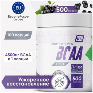 2SN BCAA powder 500g (черная смородина)