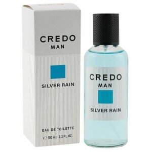 Delta parfum Туалетная вода мужская Credo Man Silver Rain