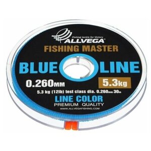 Леска монофильная ALLVEGA "Fishing Master" 30м 0,260мм (5,3кг) голубая