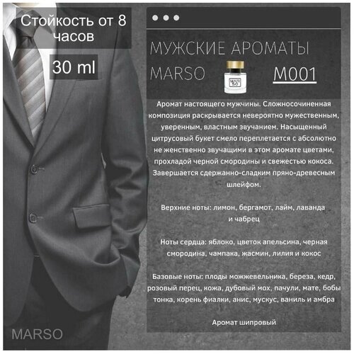 Marso / духи, парфюмерная вода мужская, парфюм, парфюмерия для мужчин 30 ml, аромат шипровый