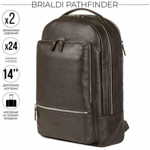 Мужской рюкзак с 2 автономными отделениями BRIALDI Pathfinder (Следопыт) relief brown