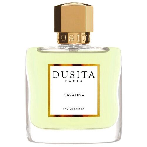Parfums Dusita Cavatina парфюмерная вода 100 мл для женщин