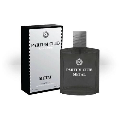 TODAY PARFUM Туалетная вода мужская Parfum Club Metal, 100 мл