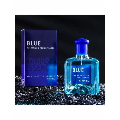 Туалетная вода мужская Colour essence Blue 100 мл