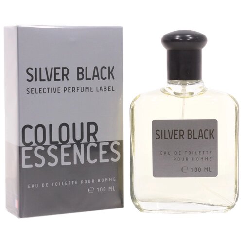 Туалетная вода мужская Colour ssncs Silvr Black, 100 мл Today Parfum 9148594 .