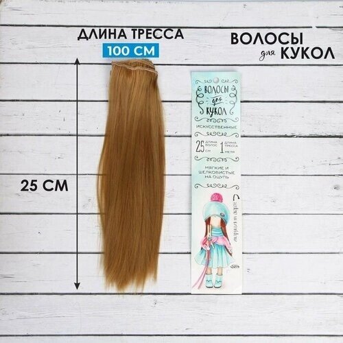 Волосы - тресс для кукол Прямые длина волос: 25 см, ширина: 100 см, цвет 26