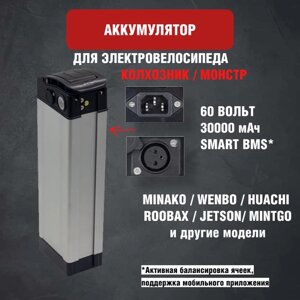 Зимний аккумулятор для электровелосипеда колхозник Monster, Minako, Jetson и других 60v 30ah, SMART BMS