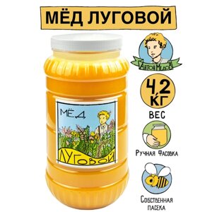 Антон Медов/Мед Луговой натуральный 4.2 кг Без сахара 2023 г.
