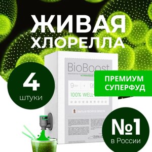BioBoo. st живая хлорелла на кремниевой биосреде 4 курса 12л