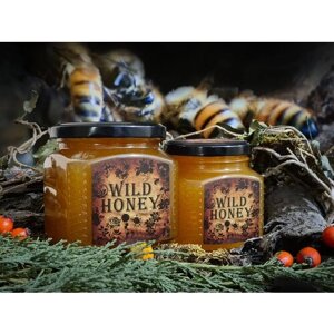 Дикий мёд - ручной сбор в заповедных лесах