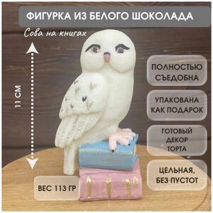 Фигурка из шоколада. Сова на книгах.