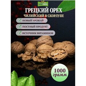 Грецкий орех в Скорлупе Чили, 1 кг