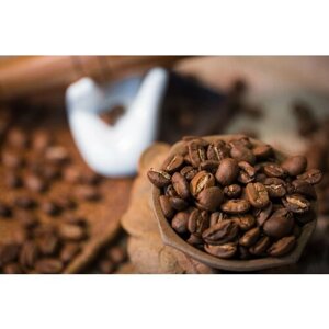 Кофе Марагоджип Никарагуа/Плантационная Арабика/Светлая обжарка/50 гр
