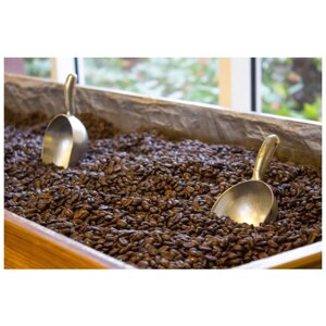 Кофе в зернах Доминикана Барахона 100 гр