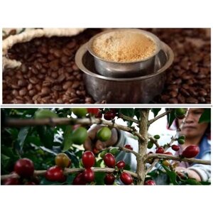 Кофе в зернах Душа Индии 100 гр