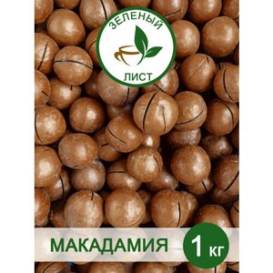 Макадамия 1 кг/ Макадамия орех/ Макадамия Орехи / Макадамия в скорлупе/ Новый урожай