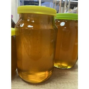 Мёд Лесной натуральный 2023 с пасеки Алтайского края ,1 литр (1,4 кг)
