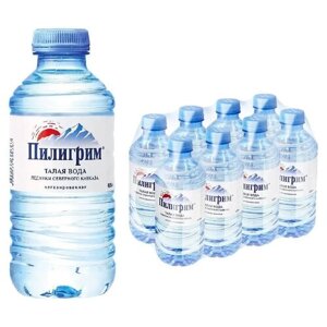 Минеральная питьевая вода Пилигрим, негазированная, ПЭТ, без вкуса, 8 шт. по 0.25 л