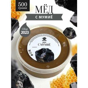 Натуральный мед с алтайским мумие 500 г, полезный подарок