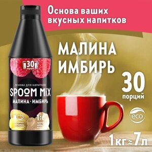 Основа для напитков SPOOM MIX Малина, имбирь, бутылка 1 кг