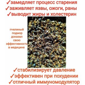 Пчелиный подмор 10 гр, сушёный/природный иммуномодулятор, premium