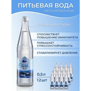Питьевая негазированная вода Chortoq Suv Чартак (12 шт по 0.5 л в упаковке)