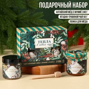 Подарочный набор "Новый год: Тепла в новом году"алтайский мёд с мумиё 240 гр, ягодно-травяной чай 50 гр, ложка для мёда
