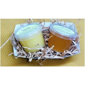 Подарочный набор Прикамский мёд: мёд липовый 170 гр+ мёд разнотравье 170 гр