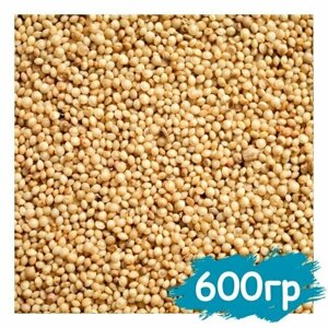 Семена амаранта 600 гр, пищевое зерно для проращивания, крупа для варки и заваривания, суперфуд для еды, амарант