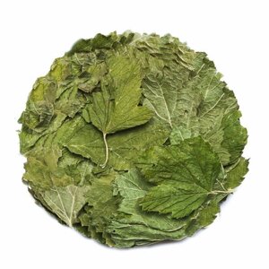 Смородина лист, вкус леса, витаминный чай, ароматный чай, травяной чай, Алтай 50 гр.