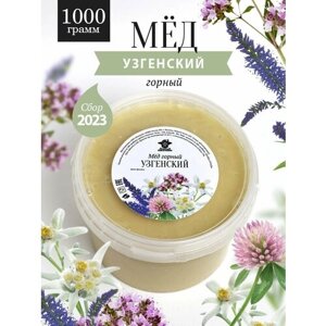 Узгенский горный мед 1000 г, для иммунитета, вкусный подарок, полезный подарок