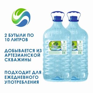 Вода питьевая "Шипов лес", 2 шт по 10 л