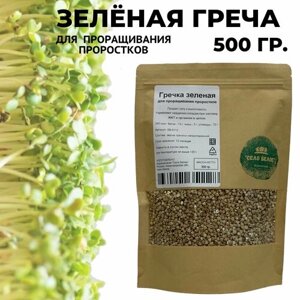 Зелёная гречка для проращивания проростков семена 500 гр.