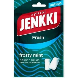 Жевательная резинка Jenkki Fresh Frosty Mint "Морозная мята" 35 г (из Финляндии)