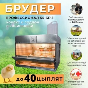 Брудер для цыплят "Профессионал-55БР-1 Стандарт"