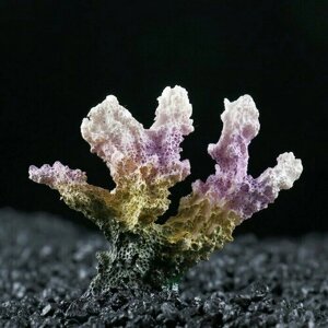 Декоративный коралл Синулярия, 7 х 4 х 7 см