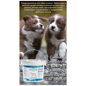 Добавка в корм для собак Canina Canhydrox GAG Forte (2000г/1200таб)