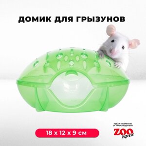 Домик-переноска ZOOexpress для грызунов, хомяков, крыс и мышей, 18х12х9 см, с дверцей, зеленый