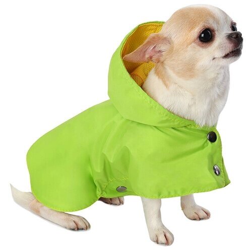 Дождевик для собак Монморанси "Стиль", цвет: зеленый, размер XS, длина спины 19 см.