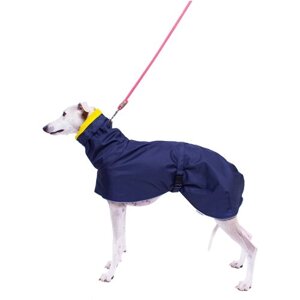 Дождевик для собак породы Левретка, цвет: синий, желтый, размер S1 . Дождевик для бесхвостых собак и с низкоопущенным хвостом