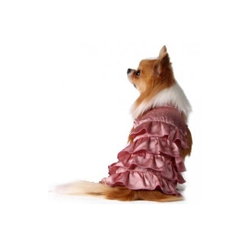 For my dogs платье для собак пудрен. 14
