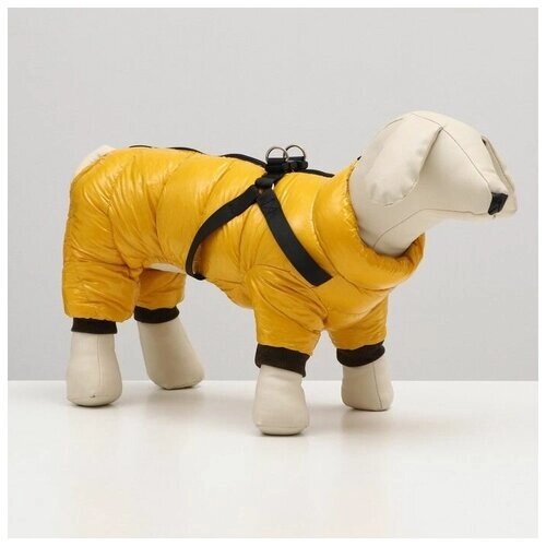 Комбинезон для собак со шлейкой "Моден", размер 10 (ДС 25, ОГ 34, ОШ 24 см), жёлтый 7980719