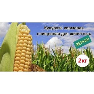 Кукуруза кормовая/зерно