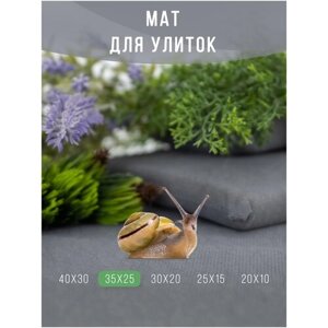 Мат, коврик, подстилка для улиток / Матрасик мягкий для декоративных улиток ахатин 35х25 см