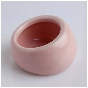 Миска керамическая для грызунов со скошенным краем, 30 мл, 5,7 х 5,7 х 3,5 см, розовая
