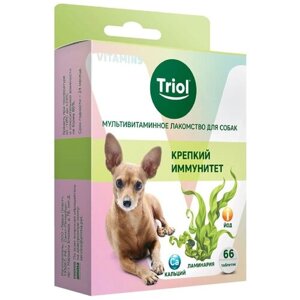 Мультивитаминное лакомство для собак "Крепкий иммунитет", 33г,В упаковке 66 таблеток)